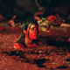 Illustration for article titled 16 Devastatingly Beautiful Horror Movies, And Why We Love Them